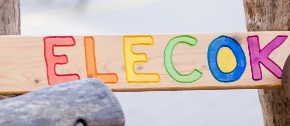 Brett mit bunter Aufschrift ELECOK