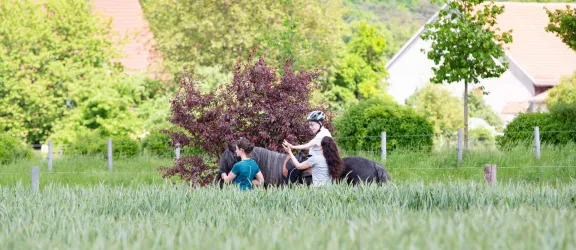 Junge auf Pferd