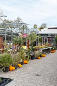 Auhof-Gärtnerei Herbst