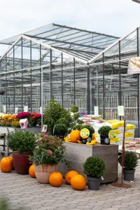 Auhof-Gärtnerei Herbst