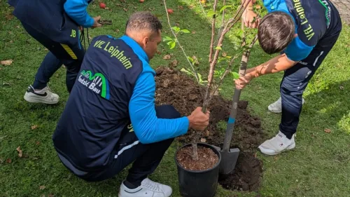 Baumpflanzaktion mit Fußballer*innen vom Fußballclub Leipheim